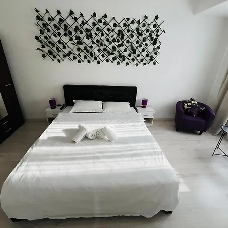 Apartment Calea Victoriei Chic