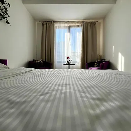 Apartment Calea Victoriei Chic *