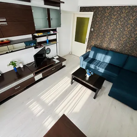 Apartment Calea Victoriei Chic