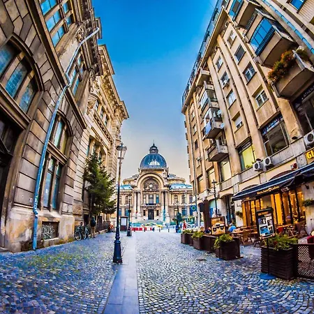 Chic - Calea Victoriei - * Bucharest