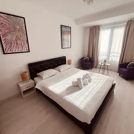Apartment Chic - Calea Victoriei -