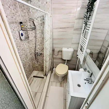 Apartment Chic - Calea Victoriei - *