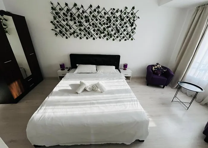 Apartmán Calea Victoriei Chic