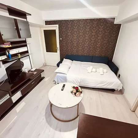 Calea Victoriei Chic Διαμέρισμα *